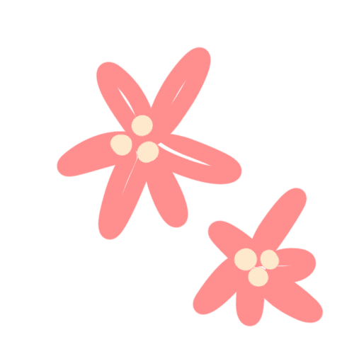 Two pink flowers
